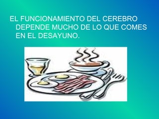 EL FUNCIONAMIENTO DEL CEREBRO DEPENDE MUCHO DE LO QUE COMES EN EL DESAYUNO. 
