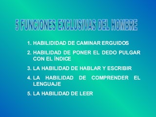 5 FUNCIONES EXCLUSIVAS DEL HOMBRE HABILIDIDAD DE CAMINAR ERGUIDOS HABILIDAD DE PONER EL DEDO PULGAR CON EL ÍNDICE LA HABILIDAD DE HABLAR Y ESCRIBIR LA HABILIDAD DE COMPRENDER EL LENGUAJE LA HABILIDAD DE LEER 