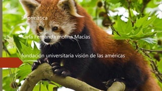 Informática
Karla Fernanda molina Macías
fundación universitaria visión de las américas
 