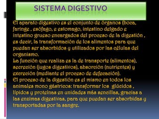 SISTEMA DIGESTIVO
El aparato digestivo es el conjunto de órganos (boca,
faringe , esófago, e estomago, intestino delgado e
intestino grueso encargados del proceso de la digestión ,
es decir, la transformación de los alimentos para que
puedan ser absorbidos y utilizados por las células del
organismo.
La función que realiza es la de transporte (alimentos),
secreción (jugos digestivos), absorción (nutrientes) y
excreción (mediante el proceso de defecación).
El proceso de la digestión es el mismo en todos los
animales mono gástricos: transformar los glúcidos ,
lípidos y proteínas en unidades más sencillas, gracias a
las enzimas digestivas, para que puedan ser absorbidas y
transportadas por la sangre.
 