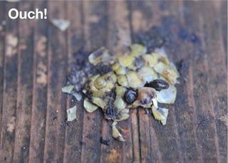 Ouch!




        Think Mobile First, Then Enhance - Karl Dubost - http://my.opera.com/karlcow
 