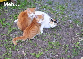 Meh…




       Think Mobile First, Then Enhance - Karl Dubost - http://my.opera.com/karlcow
 