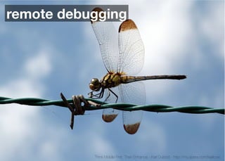 remote debugging




           Think Mobile First, Then Enhance - Karl Dubost - http://my.opera.com/karlcow
 