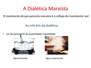 A Dialética Marxista
O movimento do pensamento marxista é o reflexo do movimento real


                   As três leis da dialética

• Lei da passagem da quantidade à qualidade




        Água fervendo              Água evaporando
 