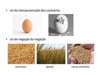 • Lei da interpenetração dos contrários




• Lei da negação da negação




      sementes                planta      novas sementes
 