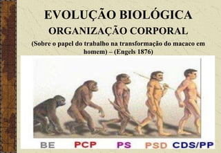 EVOLUÇÃO BIOLÓGICA
ORGANIZAÇÃO CORPORAL
(Sobre o papel do trabalho na transformação do macaco em
homem) – (Engels 1876)
 
