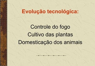 Evolução tecnológica:
Controle do fogo
Cultivo das plantas
Domesticação dos animais
 