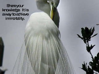 Share your knowledge.  It is a way to achieve immortality. 