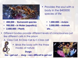 Provides the soul with a body in the 8400000  species of life 400,000 -  Humanoid species 900,000 – In Water (aquatics) 2,000,000 – Plants 1,000,000 – Avians 3,000,000 – Animals etc… Different bodies provide different levels of consciousness just like different cells in the prison A- Class Cell, B-Class Cell & C-Class cell Binds the body with the three modes of nature Durga Ga – get out … durg – very difficult to get out 