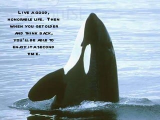 Live a good, honorable life.  Then when you get older and think back, you’ll be able to enjoy it a second time. 