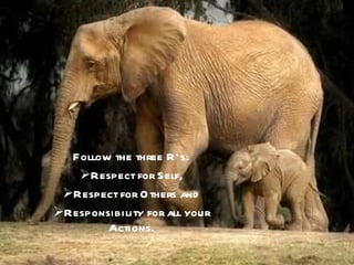 Follow the three R’s: Respect for Self, Respect for Others and Responsibility for all your Actions. 