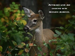 Approach love and
  cooking with
reckless aband on.
 