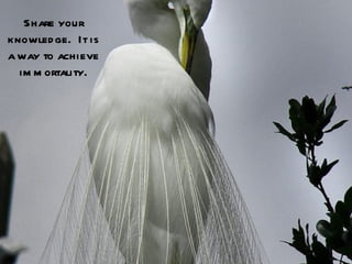 Share your
knowled ge. It is
a way to achieve
  im m ortality.
 