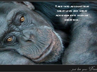 Take into account that
 great love and great
achievem ents involve
      great risk.
 