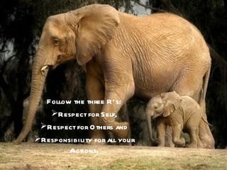 Follow the three R’s:
   Respect for Self,
 Respect for O thers and
Responsibility for all your
        Actions.
 