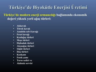 Türkiye’de modern enerji ormancılığı bağlamında ekonomik
değeri yüksek yerli ağaç türleri:
• Akkavak
• Titrek kavak
• Anadolu selvi kavağı
• Fırat kavağı
• Kızılağaç türleri
• Meşe türleri
• Dişbudak türleri
• Akçaağaç türleri
• Söğüt türleri
• Huş türleri
• Kızılçam
• Fıstık çamı
• Toros sediri ve
• Akdeniz servisi
Türkiye’de Biyokütle Enerjisi ÜretimiTürkiye’de Biyokütle Enerjisi Üretimi
 