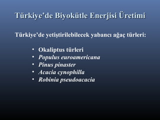 Türkiye’de yetiştirilebilecek yabancı ağaç türleri:
• Okaliptus türleri
• Populus euroamericana
• Pinus pinaster
• Acacia cynophilla
• Robinia pseudoacacia
Türkiye’de Biyokütle Enerjisi ÜretimiTürkiye’de Biyokütle Enerjisi Üretimi
 