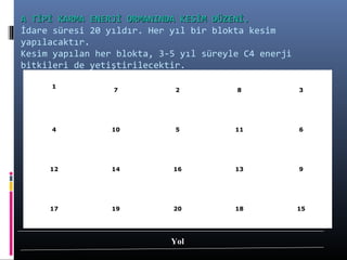 A TİPİ KARMA ENERJİ ORMANINDA KESİM DÜZENİ.A TİPİ KARMA ENERJİ ORMANINDA KESİM DÜZENİ.
İdare süresi 20 yıldır. Her yıl bir blokta kesim
yapılacaktır.
Kesim yapılan her blokta, 3-5 yıl süreyle C4 enerji
bitkileri de yetiştirilecektir.
1
7 2 8 3
4 10 5 11 6
12 14 16 13 9
17 19 20 18 15
YolYol
 