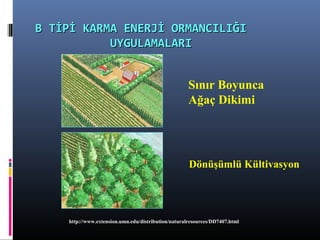 B TİPİ KARMA ENERJİ ORMANCILIĞIB TİPİ KARMA ENERJİ ORMANCILIĞI
UYGULAMALARIUYGULAMALARI
Sınır Boyunca
Ağaç Dikimi
http://www.extension.umn.edu/distribution/naturalresources/DD7407.html
Dönüşümlü Kültivasyon
 