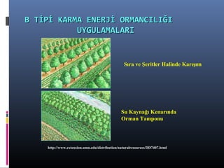 Sıra ve Şeritler Halinde Karışım
Su Kaynağı Kenarında
Orman Tamponu
http://www.extension.umn.edu/distribution/naturalresources/DD7407.html
B TİPİ KARMA ENERJİ ORMANCILIĞIB TİPİ KARMA ENERJİ ORMANCILIĞI
UYGULAMALARIUYGULAMALARI
 