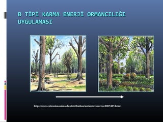 B TİPİ KARMA ENERJİ ORMANCILIĞIB TİPİ KARMA ENERJİ ORMANCILIĞI
UYGULAMASIUYGULAMASI
http://www.extension.umn.edu/distribution/naturalresources/DD7407.html
 