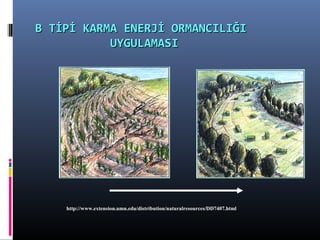 http://www.extension.umn.edu/distribution/naturalresources/DD7407.html
B TİPİ KARMA ENERJİ ORMANCILIĞIB TİPİ KARMA ENERJİ ORMANCILIĞI
UYGULAMASIUYGULAMASI
 