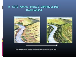 http://www.extension.umn.edu/distribution/naturalresources/DD7407.html
B TİPİ KARMA ENERJİ ORMANCILIĞIB TİPİ KARMA ENERJİ ORMANCILIĞI
UYGULAMASIUYGULAMASI
 