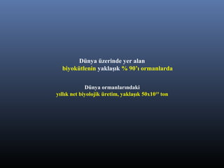 Dünya üzerinde yer alan
biyokütlenin yaklaşık % 90’ı ormanlarda
Dünya ormanlarındaki
yıllık net biyolojik üretim, yaklaşık 50x1019
ton
 