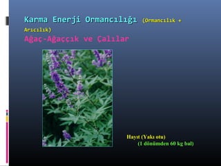 Hayıt (Yakı otu)
(1 dönümden 60 kg bal)
Karma Enerji OrmancılığıKarma Enerji Ormancılığı (Ormancılık +(Ormancılık +
Arıcılık)Arıcılık)
Ağaç-Ağaççık ve Çalılar
 