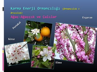 Portakal
Portakal
KirazKiraz
ElmaElma
ErguvanErguvan
Karma Enerji OrmancılığıKarma Enerji Ormancılığı (Ormancılık +(Ormancılık +
Arıcılık)Arıcılık)
Ağaç-Ağaççık ve Çalılar
 