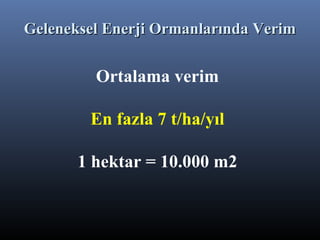 Ortalama verim
En fazla 7 t/ha/yıl
1 hektar = 10.000 m2
Geleneksel Enerji Ormanlarında VerimGeleneksel Enerji Ormanlarında Verim
 