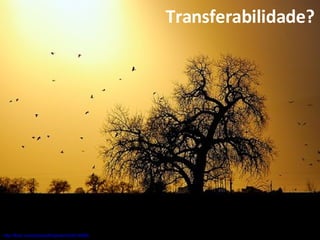http://flickr.com/photos/fortphoto/434414965/ Transferabilidade? 
