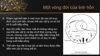 Một vòng đời của linh hồn
6. Phàm ngã thể hiện ở một mức độ nào đó mục
đích của Linh hồn, khoác thể xác vật lý và rời bỏ
nó ở cuối kiếp sống.
7. Sau khi chết, tâm thức mất đi những năng lực
của thể xác vật lý và lớp vỏ dĩ thái tương ứng
với nó, nhưng cuộc sống vẫn tiếp diễn trong thể
trí-cảm đã được hình thành từ vỏ bọc trí cảm
trong suốt kiếp sống.
8. Thể cảm dục đã bị loại bỏ và tâm thức được tiếp
diễn trên cõi trí trong thể trí.
 