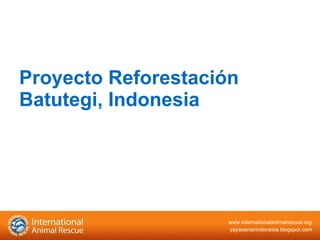 Proyecto Reforestación Batutegi, Indonesia 
