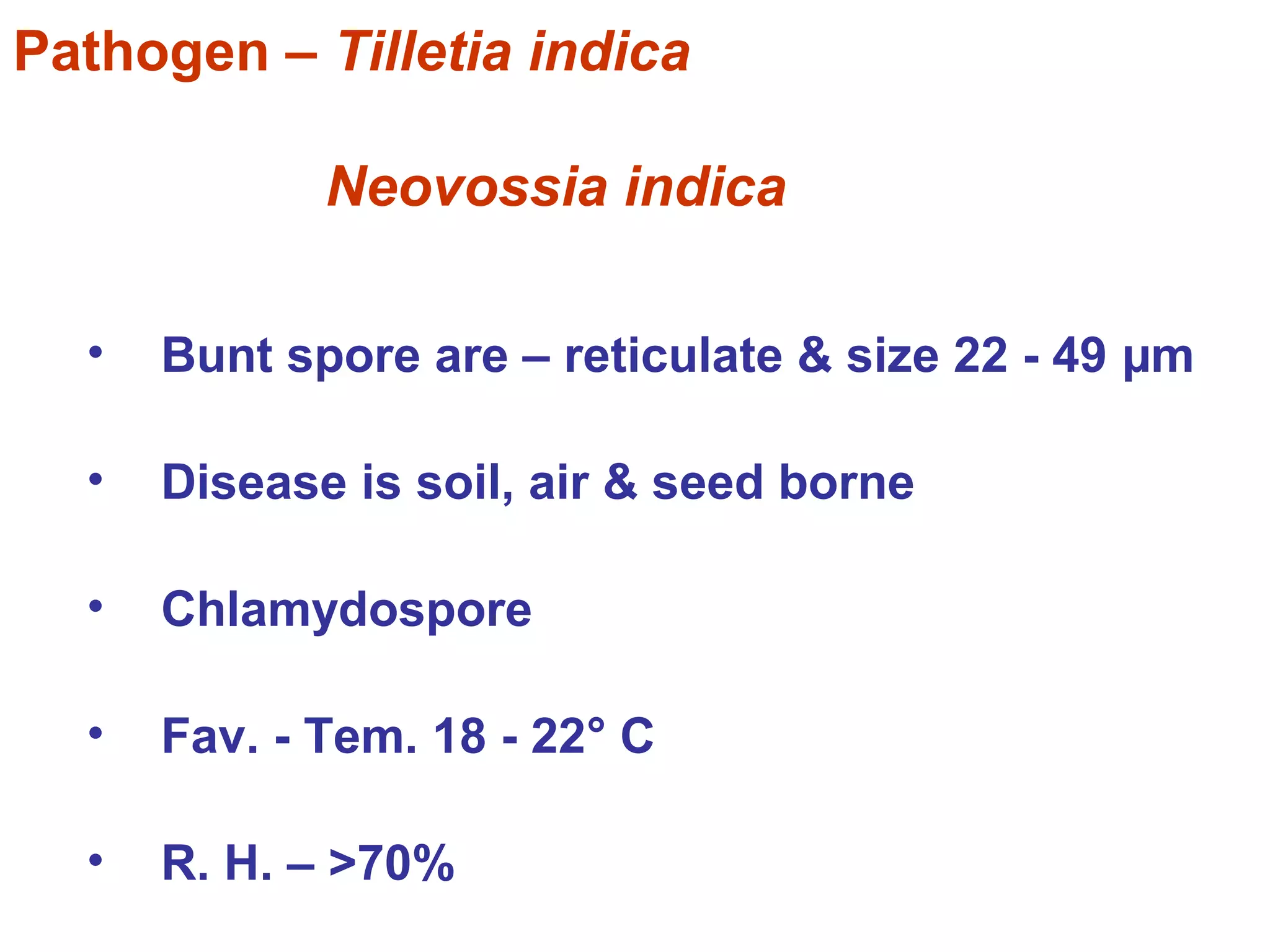 Pathogen – Tilletia indica
Neovossia indica
• Bunt spore are – reticulate & size 22 - 49 µm
• Disease is soil, air & seed borne
• Chlamydospore
• Fav. - Tem. 18 - 22° C
• R. H. – >70%
