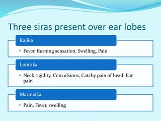 Three siras present over ear lobes
• Fever, Burning sensation, Swelling, Pain
Kalika
• Neck rigidity, Convulsions, Catchy pain of head, Ear
pain
Lohitika
• Pain, Fever, swelling
Marmaika
 