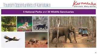 30
TourismOpportunitiesofKarnataka
5 National Parks and 30 Wildlife Sanctuaries
 