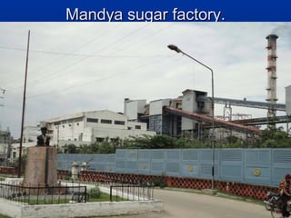 Mandya sugar factory.Mandya sugar factory.
 