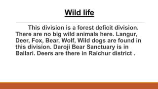 Wild life
This division is a forest deficit division.
There are no big wild animals here. Langur,
Deer, Fox, Bear, Wolf, Wild dogs are found in
this division. Daroji Bear Sanctuary is in
Ballari. Deers are there in Raichur district .
 