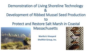 Demonstration of Living Shoreline Technology & Development of Ribbed Mussel Seed Production to Protect and Restore Salt Marsh in Coastal Massachusetts 
Martha’s Vineyard 
Shellfish Group, Inc.  
