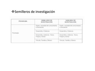 Semilleros de investigación
 