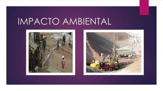IMPACTO AMBIENTAL
 