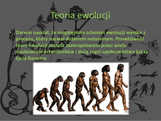 Główne Założenia Teorii Ewolucji Darwina