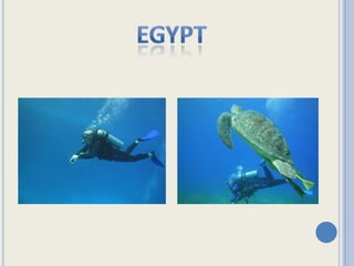 egypt
