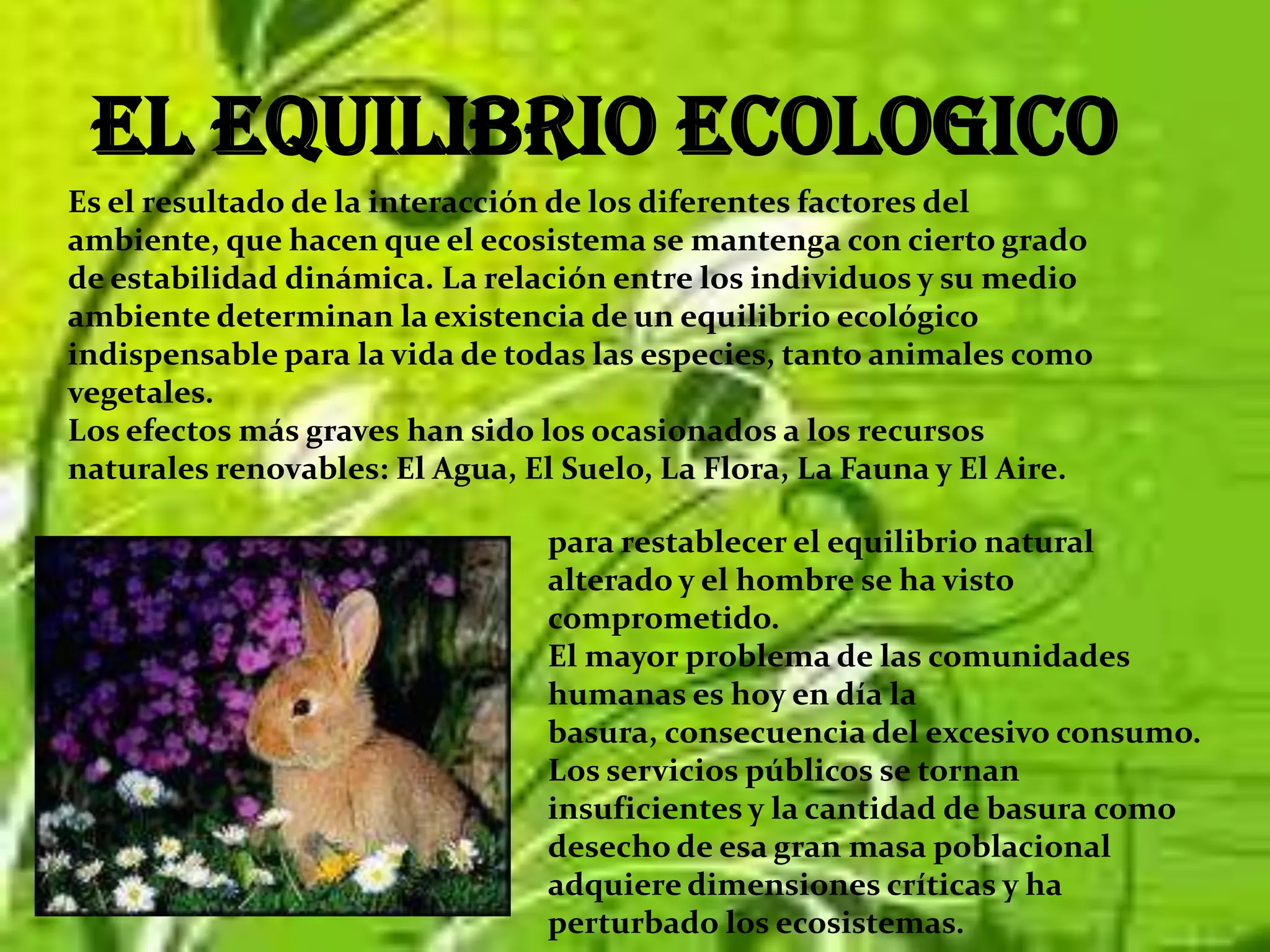 El relleno sanitario: enterrando la basura comprimida en grandes desniveles.