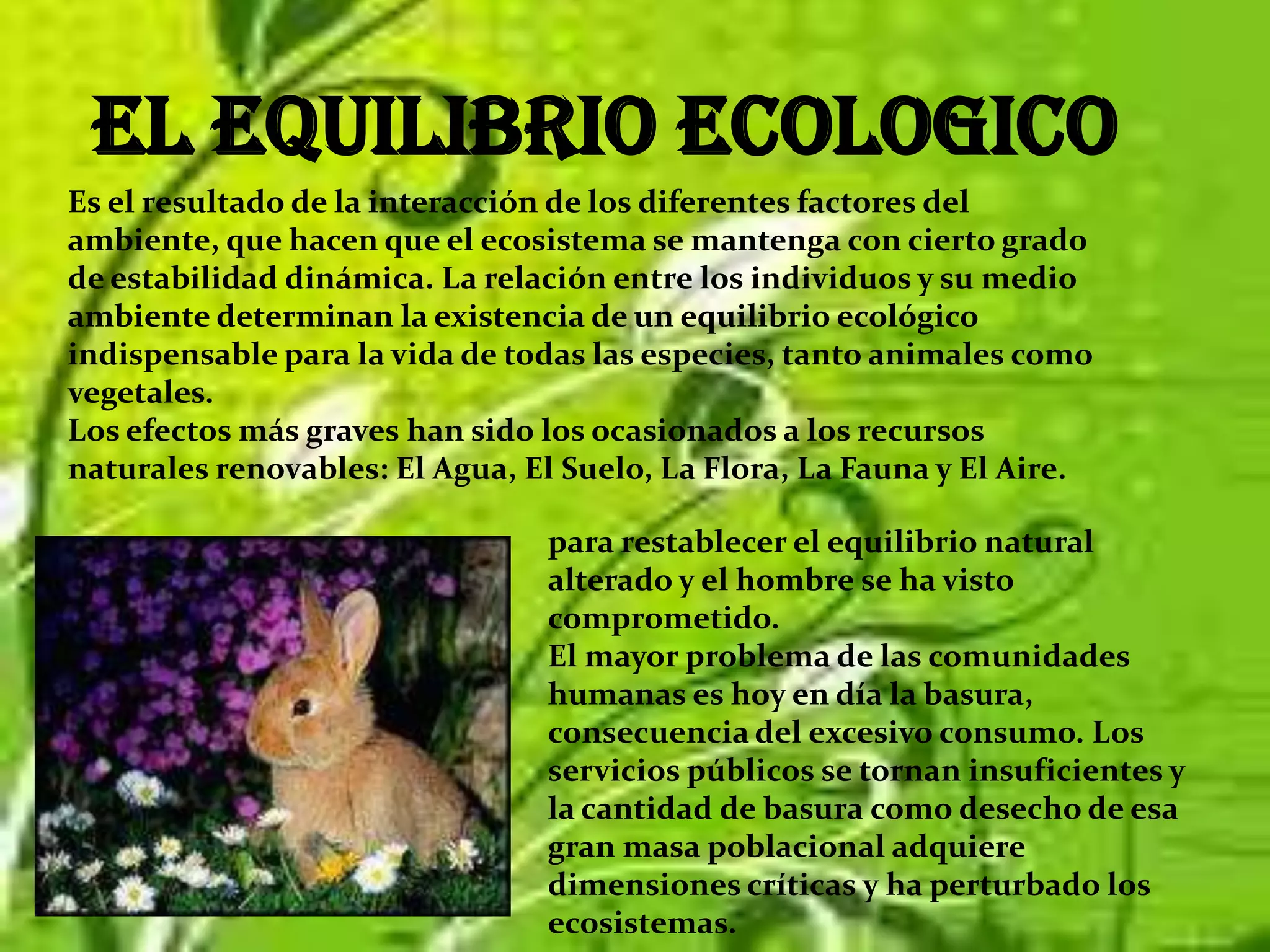 El relleno sanitario: enterrando la basura comprimida en grandes desniveles.