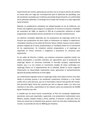Experimental San Camilo, aplicando por primera vez en el país la técnica de siembra
en camas altas con riego por microaspersión para la obtención de speedlings, que
dio excelentes resultados por el altísimo porcentaje de germinación y la uniformidad
de las plántulas obtenidas. El almácigo fue el mayor del mundo en su tipo registrado
hasta la fecha2.
Además, se establecieron estándares de calidad basados en los de California, con
límites más exigentes para asegurar la aceptación. Al iniciarse la cosecha a mediados
de noviembre de 1986, se exportó el 70% de la producción conforme se había
programado, alcanzándose precios excelentes en el mercado norteamericano.
Los óptimos resultados obtenidos por los productores de espárrago verde en Ica
hicieron que productores de otros valles se interesaran en replicar la experiencia,
iniciándose siembras en los valles de Chincha, Nasca, Cañete, Huaura y otros valles y
pampas irrigadas de la Costa, produciéndose un verdadero boom en el crecimiento
de las exportaciones. Se instalaron plantas empacadoras y el espárrago no
exportado en fresco comenzó a congelarse y procesarse en conservas para
exportación.
En los valles de Chincha y Cañete, una empresa conservera española instaló una
planta procesadora y suscribió contratos con agricultores para la producción de
espárrago blanco en conservas orientada al mercado europeo, especialmente
España, que a su vez motivó un incremento notable de áreas sembradas con
espárrago blanco en el departamento de la Libertad, donde la nueva irrigación
Chavimochic ha desarrollado importantes áreas, generando el aprovechamiento
agrícola de pampas desérticas en esta región.
Los rendimientos logrados tanto en espárrago verde como blanco fueron muy altos
desde el principio, gracias a las excelentes condiciones climáticas y a los suelos
sueltos de la costa peruana, que es el invernadero natural más grande del mundo.
Esto permitió lograr hasta dos cosechas por año en algunos valles y en otros tres
cosechas en dos años, superándose en los mejores casos una producción de 20,000
kg por hectárea y por año.
A medida que las áreas fueron aumentando, el Perú fue escalando rápidamente
posiciones como país exportador, superando a los productores tradicionales como
México, España, Estados Unidos y China; además, al alcanzar a cada país, Perú lo
hacía con menos de la mitad del área, gracias a tener los más altos rendimientos del
mundo: un promedio de más los 9000 kg por hectárea.
 