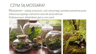 Od inżyniera do designera