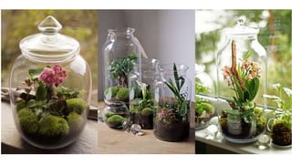 Od inżyniera do designera