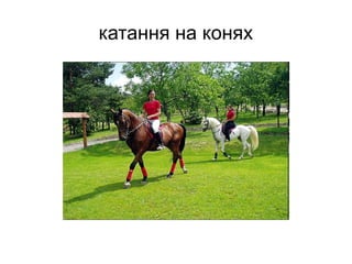 катання на конях
 